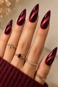 Burgundy Velvet Stiletto Nails