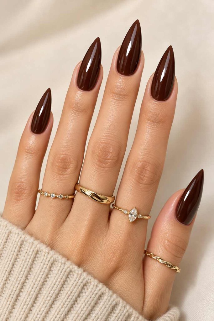 Chocolate Brown Stiletto Nails