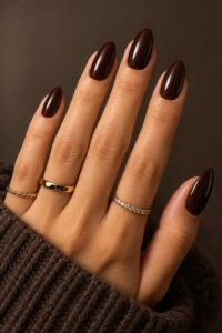 Espresso Brown Nails